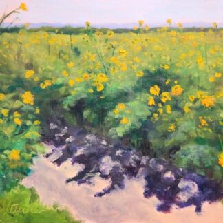 Sunseekers by Barbara Stepura