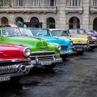 All Lined Up by Judy Guenther
