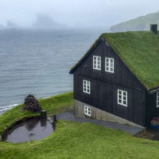 House by the Sea by Judy Guenther