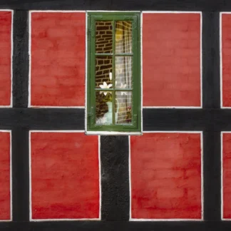 The Window by Judy Guenther