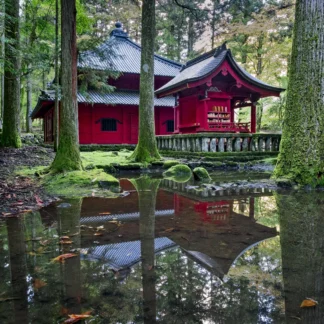 Quiet Calm by Judy Guenther