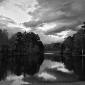 Quiet Evening Alone by Martha Kaplan