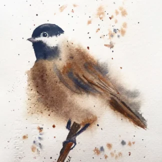 Black-capped chickadee by Ebru Karayigit