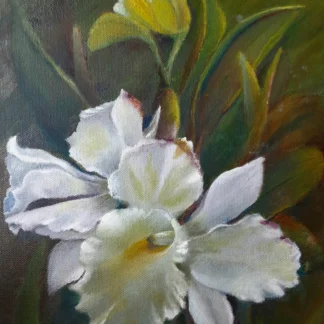 Spring Cattleya Bloom by Graciela Keane