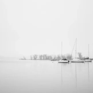 Fogged In by Leslie Landerkin