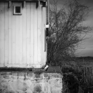 Old Shed by Leslie Landerkin