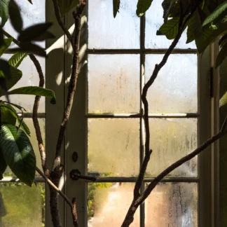Solarium Light by Leslie Landerkin