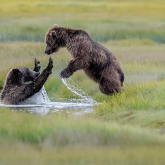 Playtime by Eva Lanyi