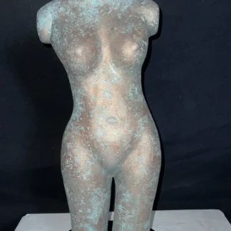 Patina of Strength: Weathered Resilience by Janice Maclean