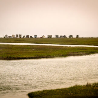 Wetland Silhouette by Suzanne McIntire