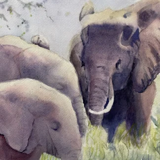 Elephants by Evelyn McKay