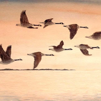 Chesapeake Homecoming by Lisa McKnight
