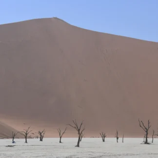 Sossusvlei Dunes by Lawrence Meinert