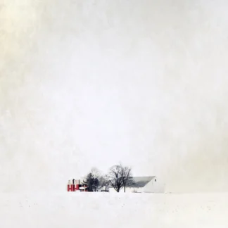 Red + White by Maureen Minehan