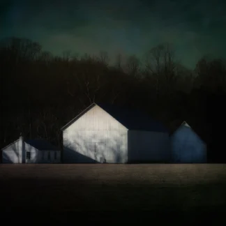 Drawn from the Dark by Maureen Minehan