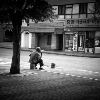 Morning Rest by Maureen Minehan