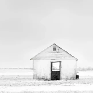 Monochrome by Maureen Minehan