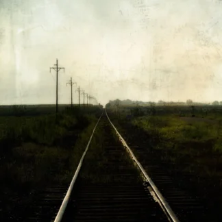 Convergence by Maureen Minehan