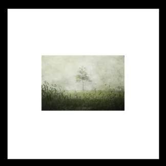 Amid the Mist by Maureen Minehan