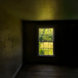 Inside Out by Maureen Minehan