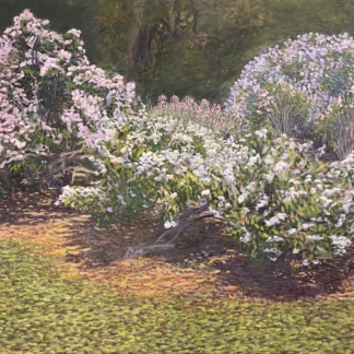 The Lilacs by Neal Machado