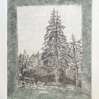 Patriarch Tree by Bridget Murphy