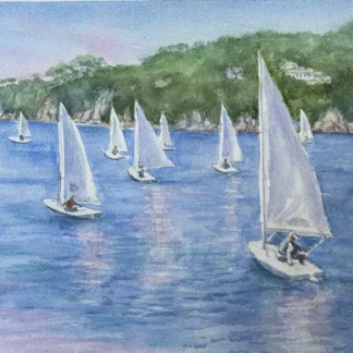 Spring Regatta at Calella de Palafrugell, Spain by Sally V Parker