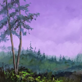 Shenandoah - Purple Haze by Nancy M Patrick