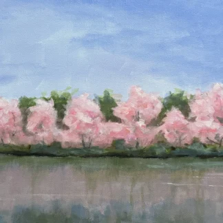 Cherry Blossoms 1 by Nancy M Patrick