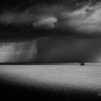 Surprise Storm by William Patton
