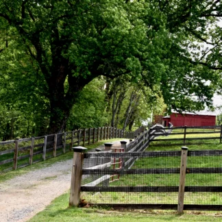 Take Me Home, Country Road by Jane Podesta
