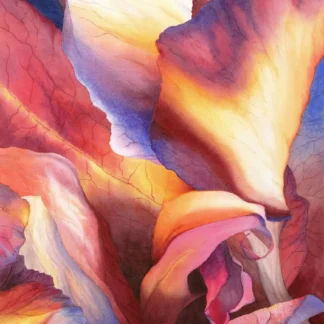 Orchid Afterlife by Rachel Collins