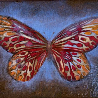 Red-Orange Butterfly by Ito Briones