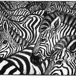 "Zebras" by Rosemary Covey