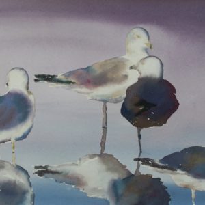 "Seagulls" by Susan Herron