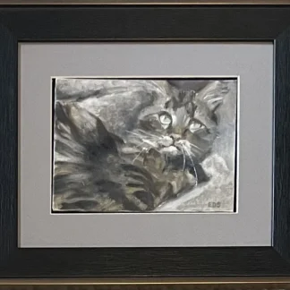 Tabby by Elizabeth Settle