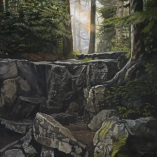 Along the Trail to Zealand Falls by Suzanne Shelden