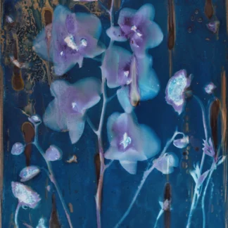 Orchids #2 by Samantha Shelton