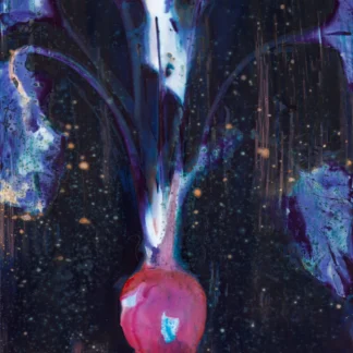 Beet #1 by Samantha Shelton