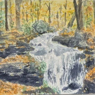By a Fall Stream by Diana Sherblom