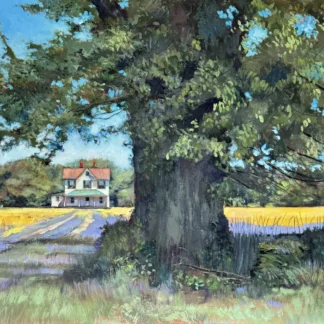 STATELY GUARDIAN IN A YELLOW FIELD by Marilynn Spindler