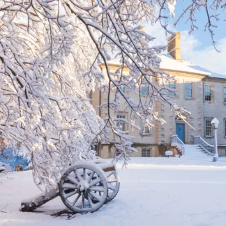 Carlyle House Snow Day by Carol Stalun