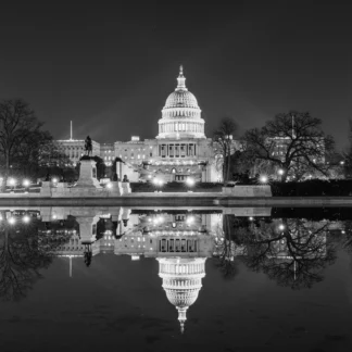 Capitol Reflections by Carol Stalun