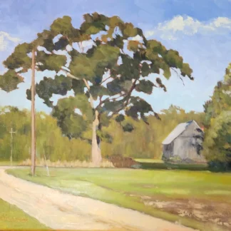 Majestic Field Oak by Barbara Stepura