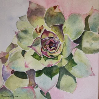 Hen and Chicks by Barbara Stepura