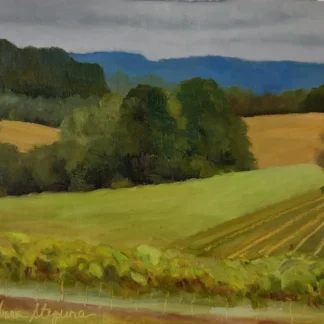 Fiore Vineyard by Barbara Stepura