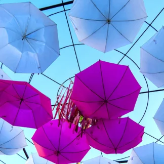 Cabos Umbrellas by John Stier