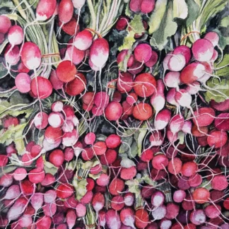 Radishes All by Katherine Sullivan