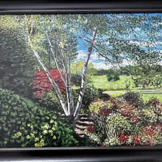 My Birch Tree by Michael Swaine