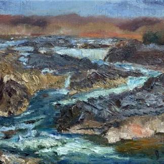 Late Autumn At Great Falls by Jennifer Tallarico